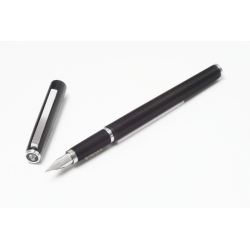 Pelikan P 570 Signum black...