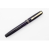 Soennecken 412 Celluloid Piston-filler w/ Click-mechanism flex 14K M Gold-nib Vintage