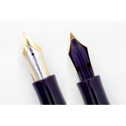 Montblanc Masterpiece 146 Celluloid Pistonfiller 14C M Bicolor Gold Nib 1955