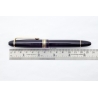 Montblanc Masterpiece 146 Celluloid Pistonfiller 14C M Bicolor Gold Nib 1955