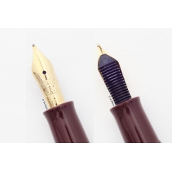 Pelikan M101N Schildpatt-Braun 14K F Goldfeder Füllhalter Kolbenfüller Special Edition 2011