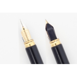 Waterman Le Man 200 Rhapsody Green Marbled 18C F Gold-b Cratridge-filler